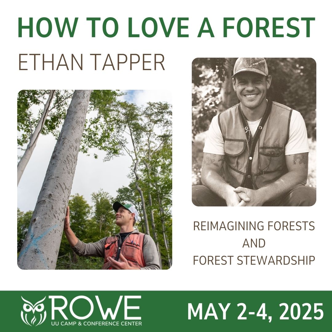 how to love a forest